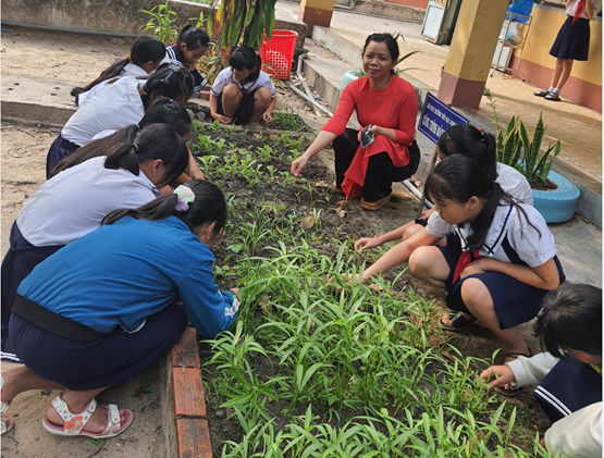 Hình 1  Giáo viên và học sinh chăm sóc vườn rau sạch